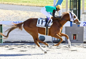 【競馬予想】[1]第40回東海ステークス(GII) /2023