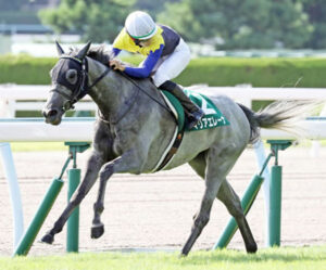 【競馬予想】第60回愛知杯(GⅢ) /2023