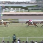 【競馬】京成杯は横山武騎乗のソールオリエンスがV