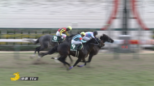 【シルクロードS】ファストフォースって買い要素ある？　他