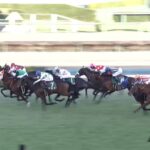 【中山金杯2023】結果・動画/ラーグルフがハナ差の接戦を制する