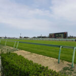競馬のレーティング高い=強さになるの?