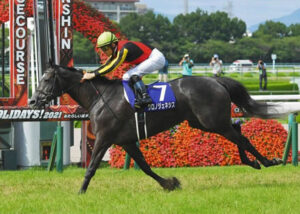 マジで再評価したい馬