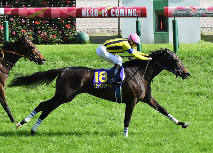 ２冠牝馬スターズオンアースは大阪杯で復帰を視野