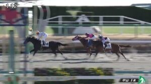 【競馬】中山1R 武豊騎乗のシュバルツガイストが単勝1番人気に応えV