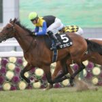 弥生賞ベストレース