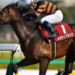 【悲報】キタサンブラック産駒に早熟疑惑浮上!!!