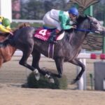 各冠名のベストホースは?