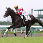 日本競馬史上最強の超早熟馬