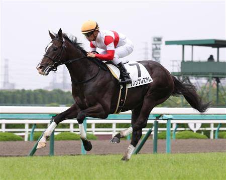 日本競馬史上最強の超早熟馬