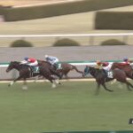 【京都牝馬ステークス2023】出走予定馬・騎手/阪神コースがカギを握る