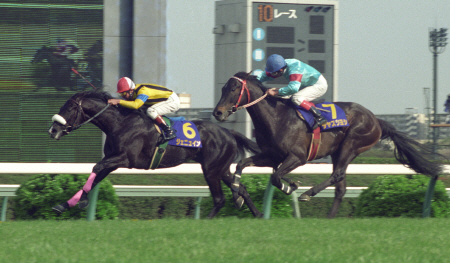 速い皐月賞馬←連想する馬