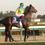 今思うとロブロイって凄いよな