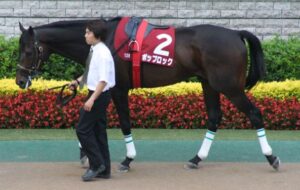 1番好きな有馬記念2着馬