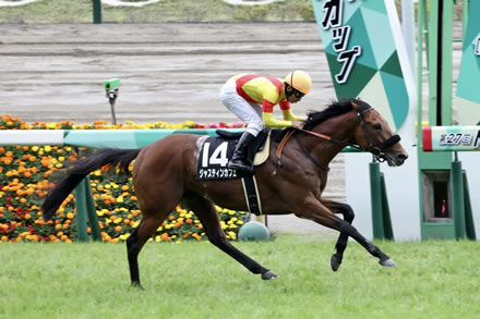 【競馬予想】[1]第73回東京新聞杯(GIII) /2023