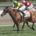 【競馬】菊花賞馬アスクビクターモア日経賞で始動