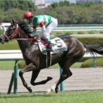 現役最強だったけど主役感がなかった馬