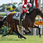 3歳クラシック番付