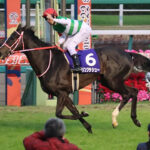 最強牝馬(MAXパフォーマンス)ランキング