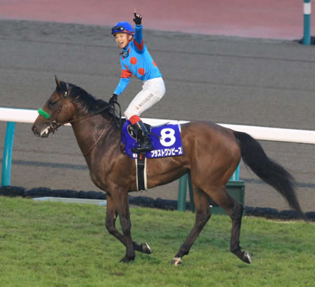 G1勝ちが有馬記念のみの馬って軒並み微妙だよな