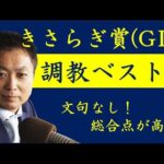 《きさらぎ賞 調教ベスト3》調教が最も良かった馬は?競馬エイト・高橋賢司トラックマンが解説