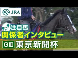 【注目馬 関係者インタビュー】2023年 東京新聞杯｜JRA公式
