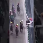 柵に接触し落馬してしまう