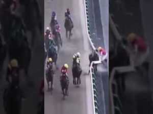 柵に接触し落馬してしまう