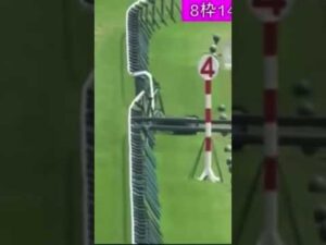 柵にぶつかり落馬してしまう