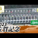 2023年 佐賀記念 JpnIII|第50回|NAR公式