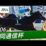 2006年 共同通信杯(GⅢ) | アドマイヤムーン | JRA公式
