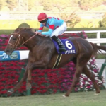 新種牡馬サリオス、種付け料150万円で速攻で満口
