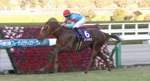 新種牡馬サリオス、種付け料150万円で速攻で満口