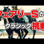 【競馬】フェアリーSを制した馬はクラシックで活躍できる?クラシックで活躍した牝馬を振り返る
