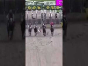 スタート直後に人気馬が落馬してしまう