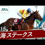 2015年 東海ステークス(GⅡ) | コパノリッキー | JRA公式