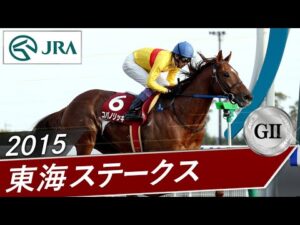 2015年 東海ステークス（GⅡ） | コパノリッキー | JRA公式
