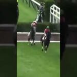着地時の勢いに耐えられず落馬してしまう