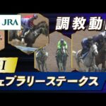 【調教動画】2023年 フェブラリーステークス|JRA公式