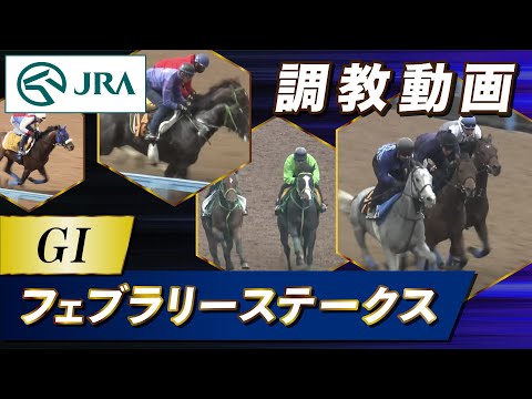 【調教動画】2023年 フェブラリーステークス｜JRA公式