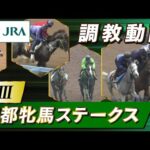 【調教動画】2023年 京都牝馬ステークス|JRA公式