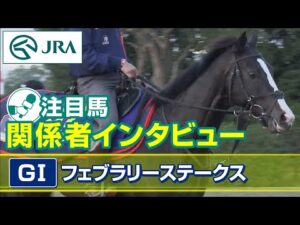 【注目馬 関係者インタビュー】2023年 フェブラリーステークス｜JRA公式