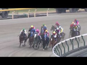 2023年 フェブラリーステークス (GⅠ)【カンテレ公式】