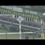 2023 FEBRUARY STAKES (G1) | JRA Official
