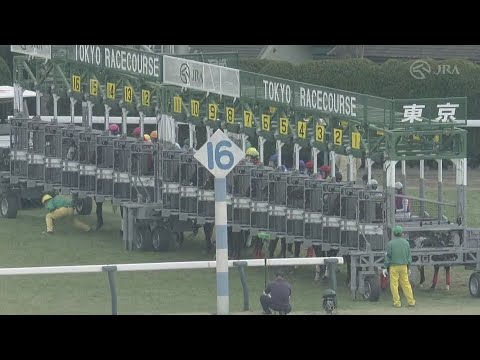 2023 FEBRUARY STAKES (G1) | JRA Official