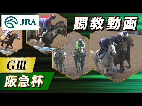 【調教動画】2023年 阪急杯｜JRA公式