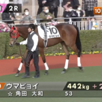 【土曜小倉2R】ウマピョイ走るやん