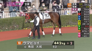 【土曜小倉2R】ウマピョイ走るやん
