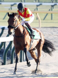 ジャスティンカフェってそもそも騎手のせいじゃなく弱いんでは？