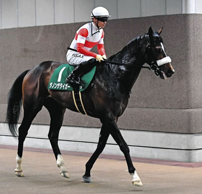 川田で若葉Ｓ参戦のダノンザタイガー国枝調教師「鞍上にこだわって決めた」